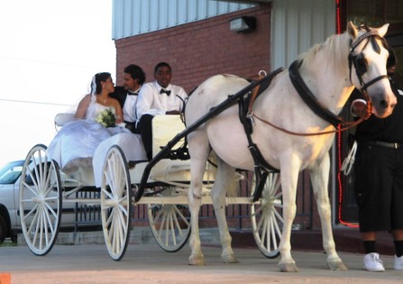La Novia y el Novio en un Carro - Banquetes de Boda La Novia y el Novio en un Carro - Banquetes de Boda